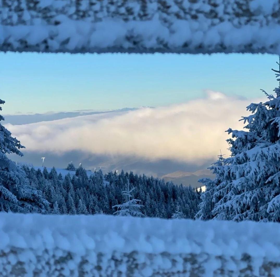 Kop Milmari P32 Lejlighed Kopaonik Eksteriør billede