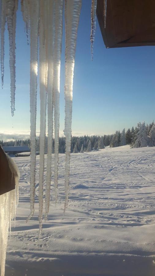 Kop Milmari P32 Lejlighed Kopaonik Eksteriør billede