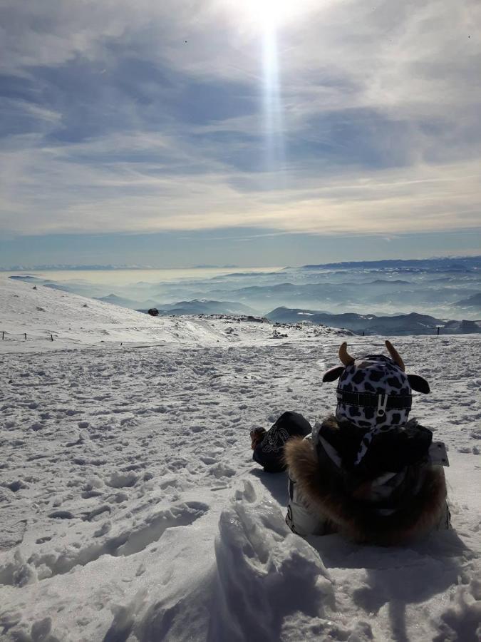 Kop Milmari P32 Lejlighed Kopaonik Eksteriør billede